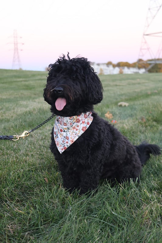 Floral Dog Bandana