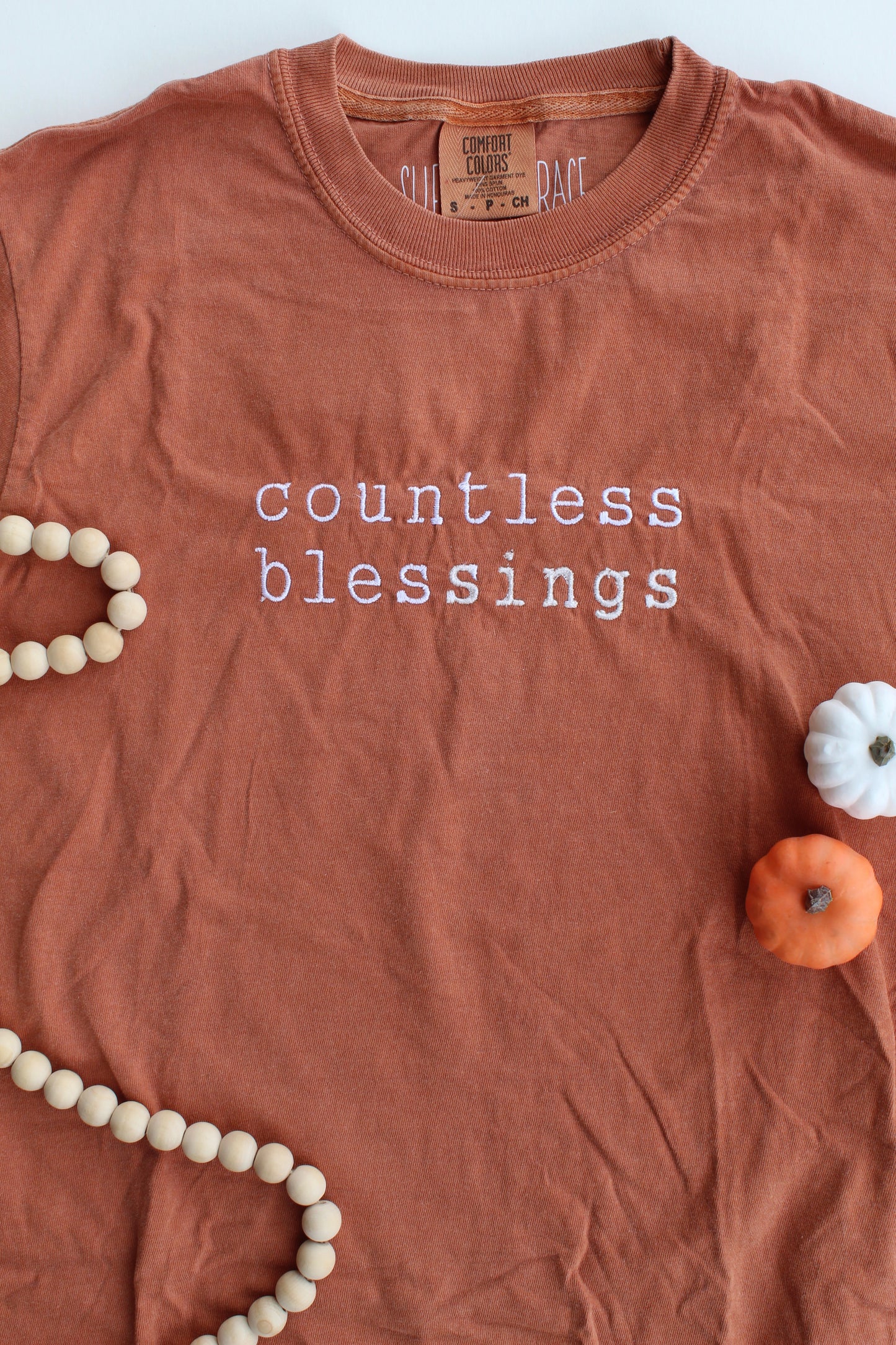 Countless Blessings Embroidered Tee