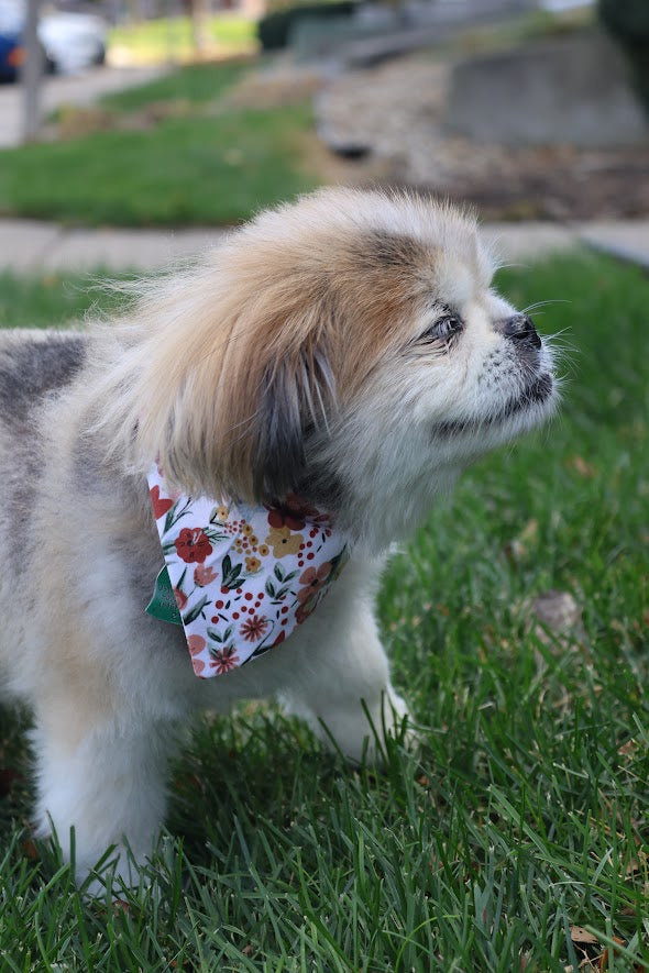 Floral Dog Bandana