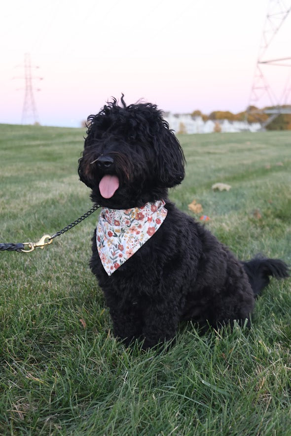 Floral Dog Bandana
