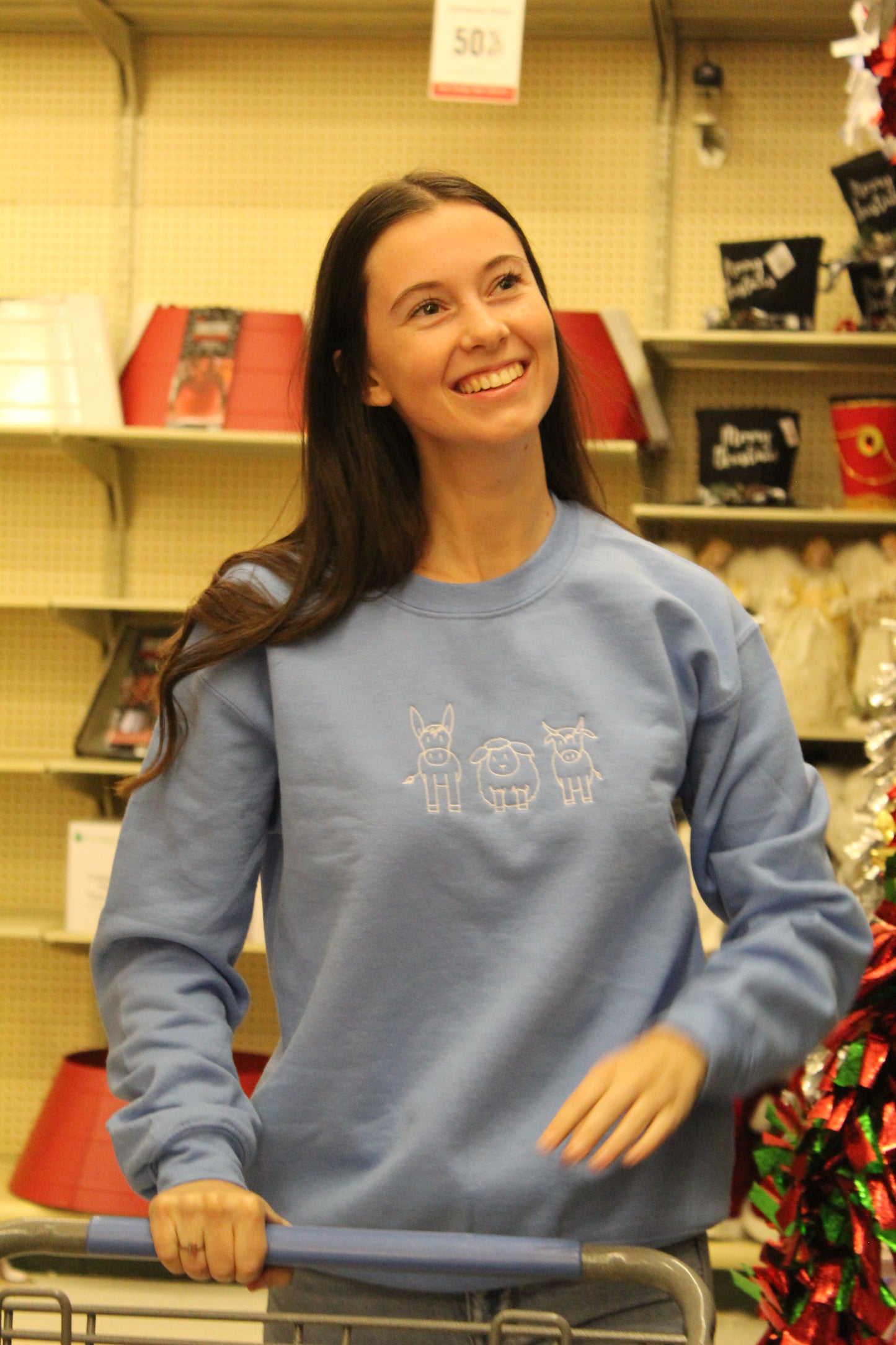 Bethlehem's Barnyard Embroidered Crewneck